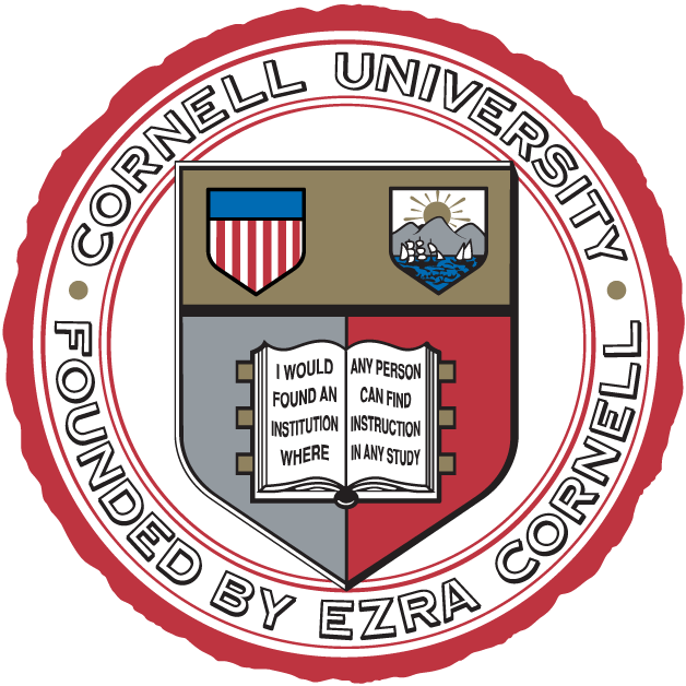Cornell Big Red 1865-Pres Alternate Logo DIY iron on transfer (heat transfer)